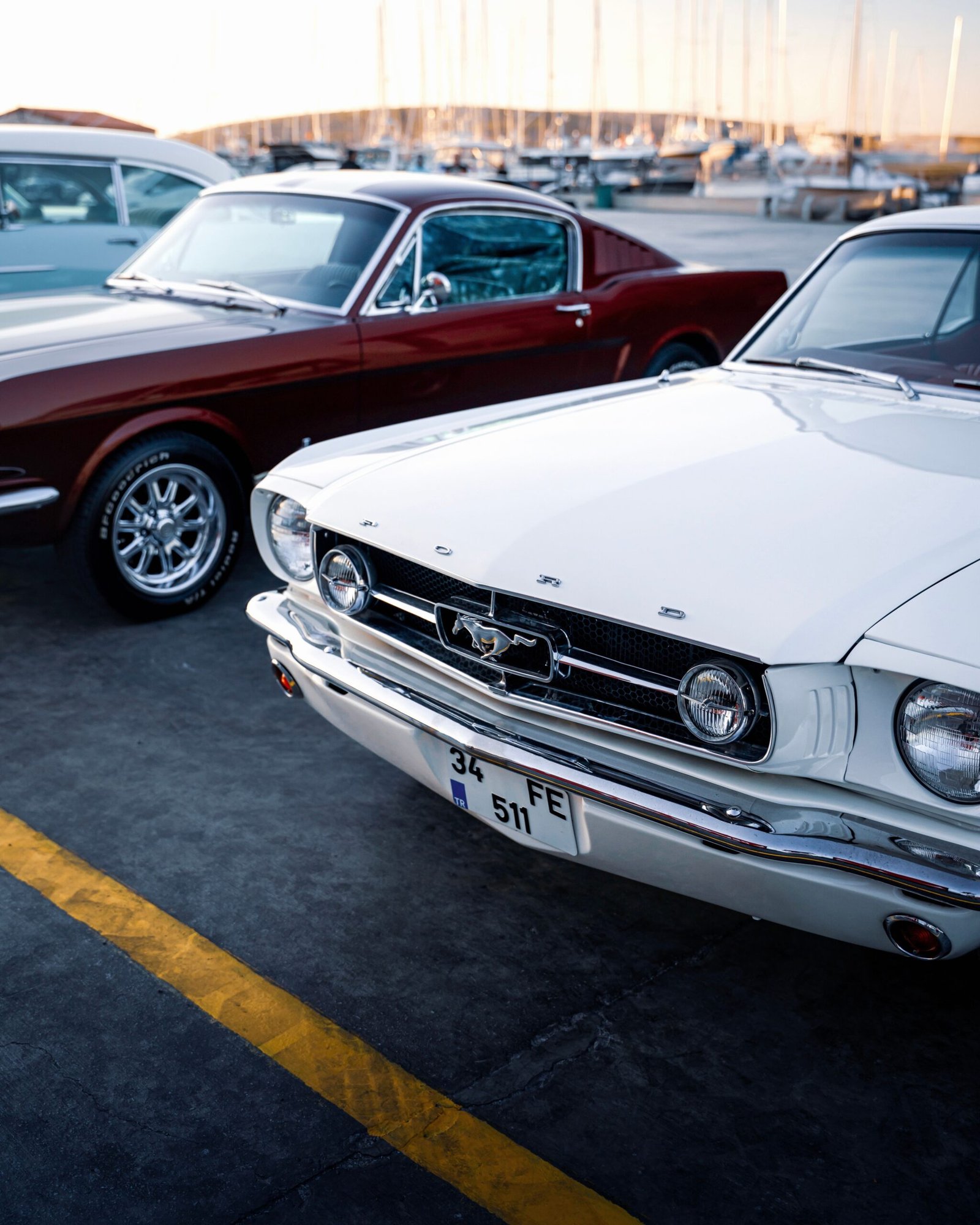 Cars 01 Photo Scaled
